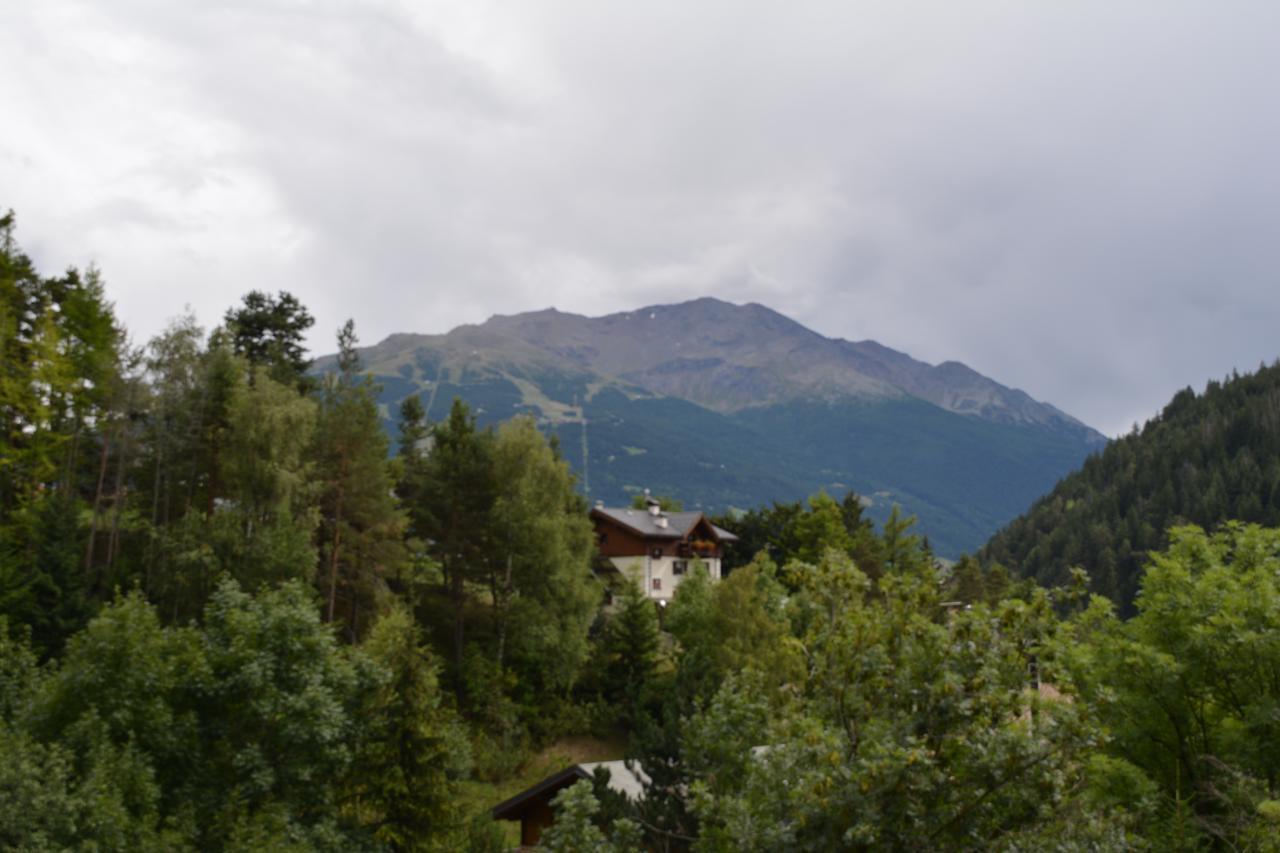 Albergo - B&B Alpina Premadio 外观 照片